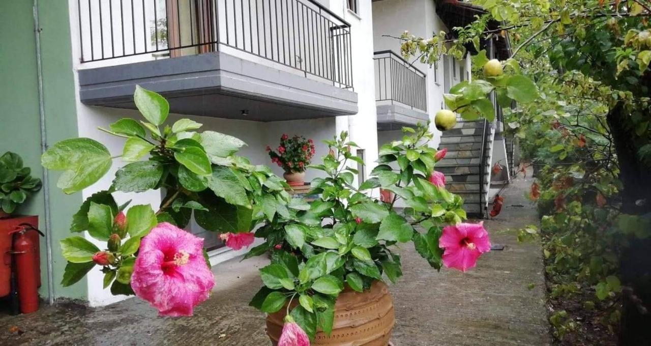 Meteora Garden Bed & Breakfast Kalampáka Ngoại thất bức ảnh